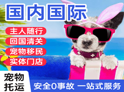 普洱思茅国际宠物托运 【国